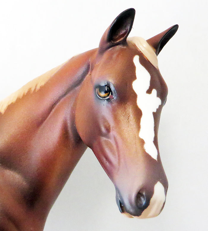 DARK N STORMY-OOAK CHESTNUT APPALOOSA WEANLING MODEL HORSE 9/23