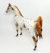 Appaloosa