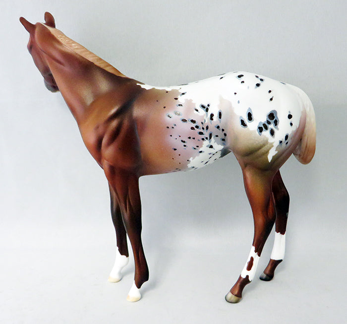 DARK N STORMY-OOAK CHESTNUT APPALOOSA WEANLING MODEL HORSE 9/23