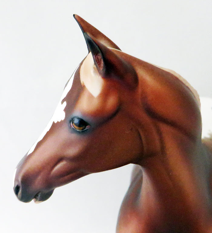 DARK N STORMY-OOAK CHESTNUT APPALOOSA WEANLING MODEL HORSE 9/23