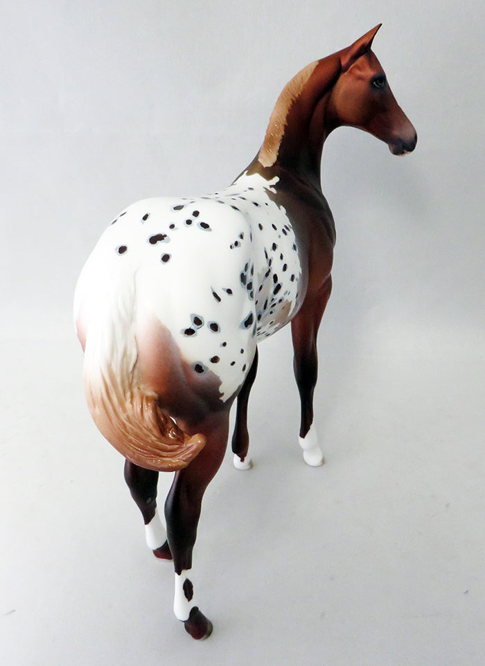 DARK N STORMY-OOAK CHESTNUT APPALOOSA WEANLING MODEL HORSE 9/23