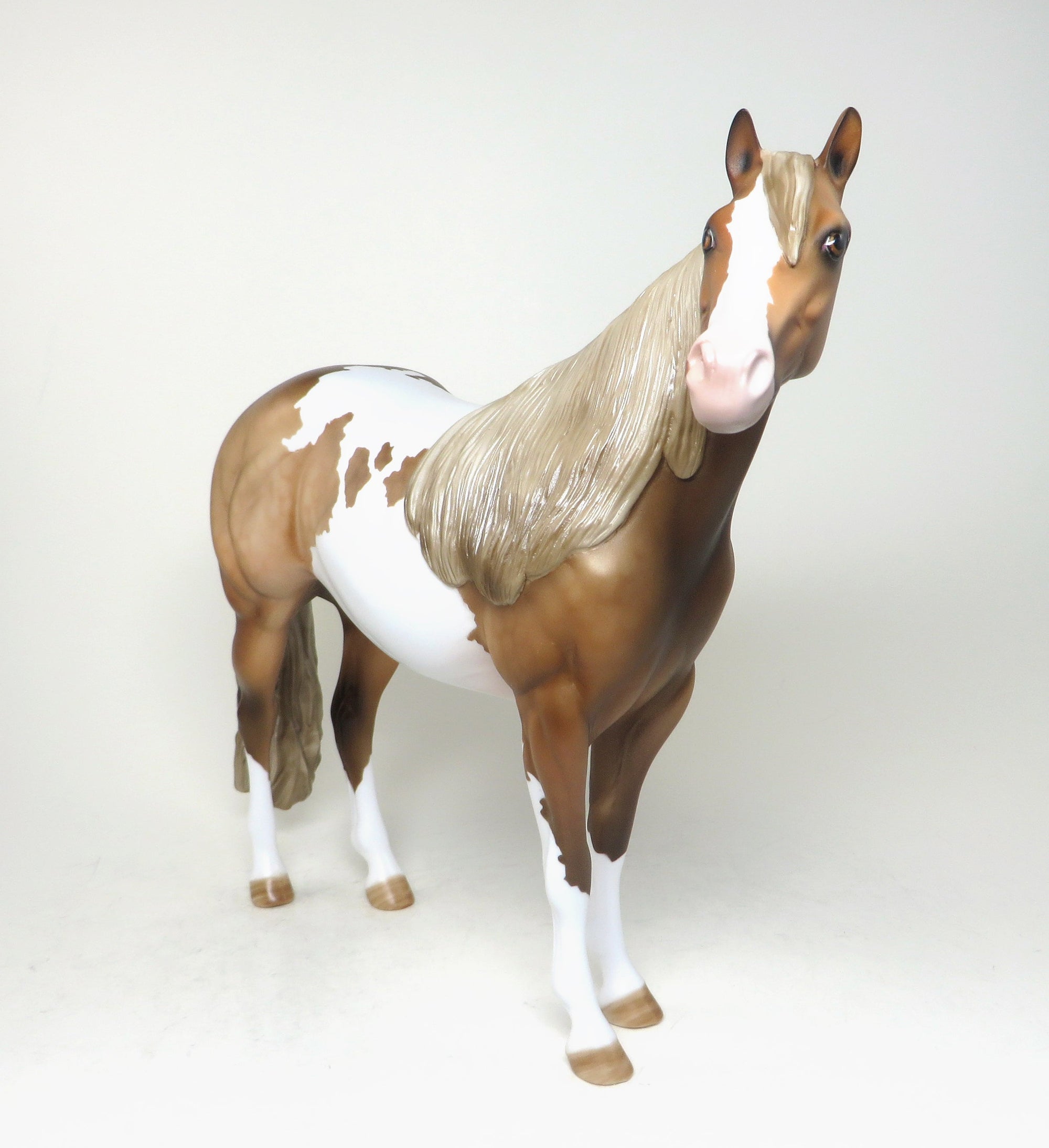 paint model horse lita
