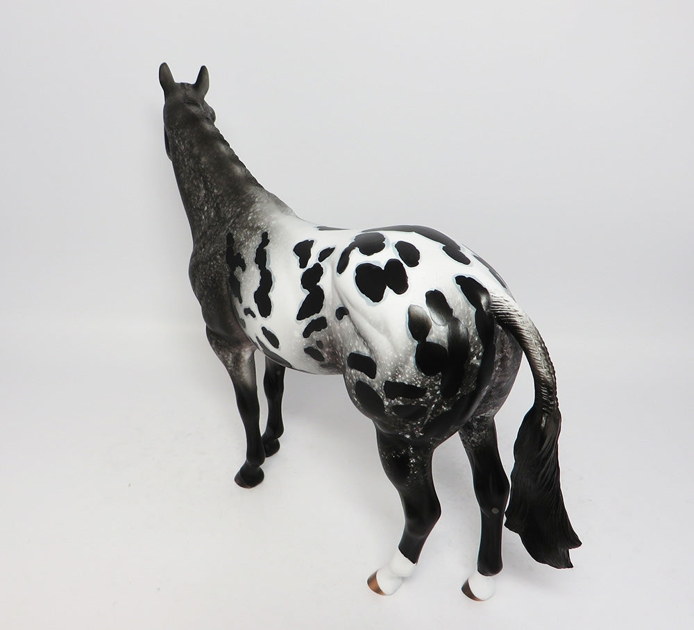 Appaloosa