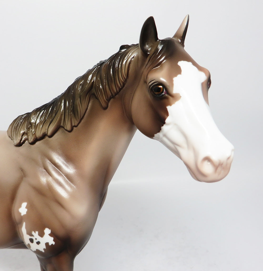 COOL BREEZ-LE3 ROSE GREY APPALOOSA ISH MODEL HORSE 8/17/17