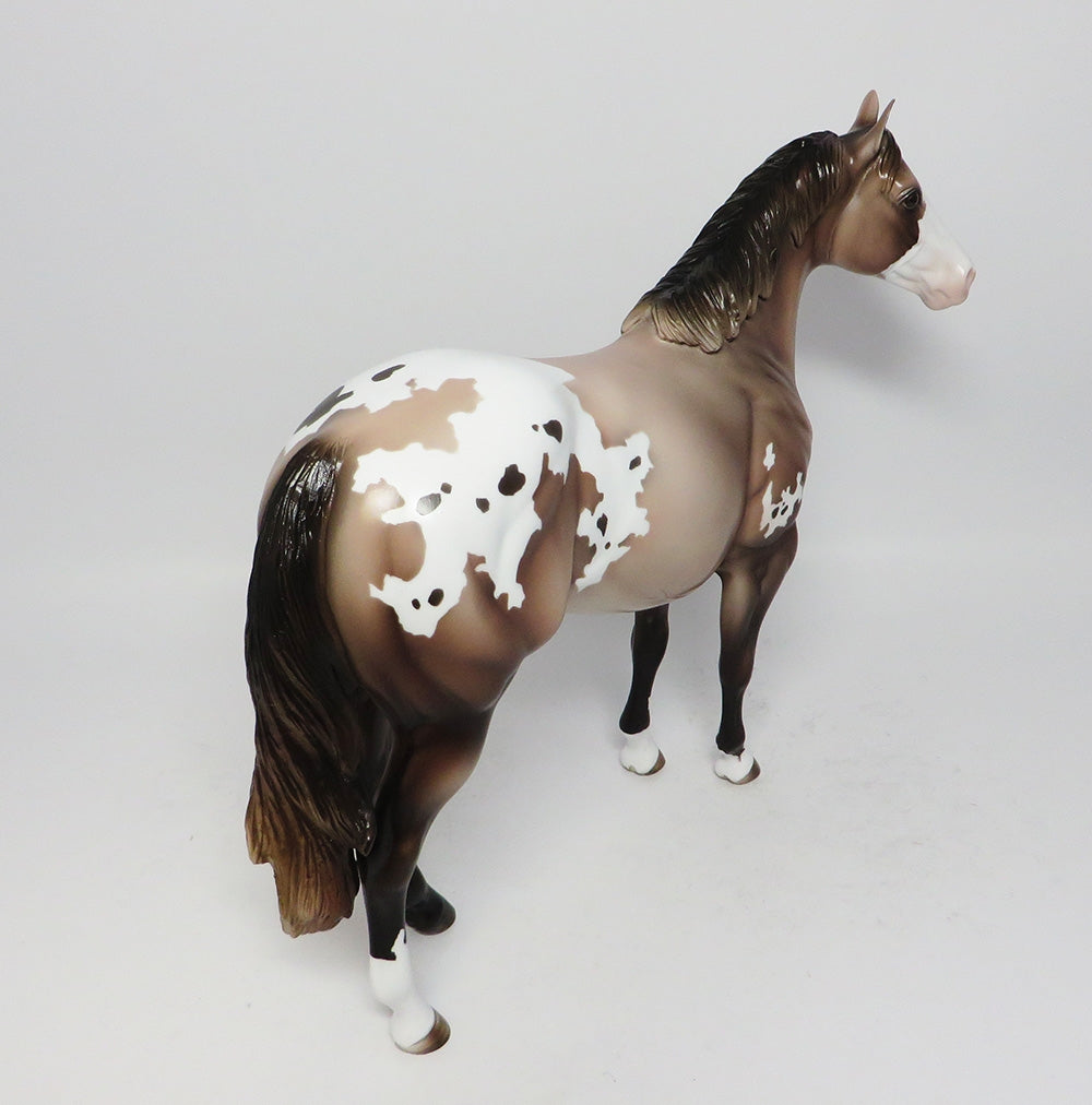 COOL BREEZ-LE3 ROSE GREY APPALOOSA ISH MODEL HORSE 8/17/17