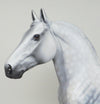 dapple grey draft horse 