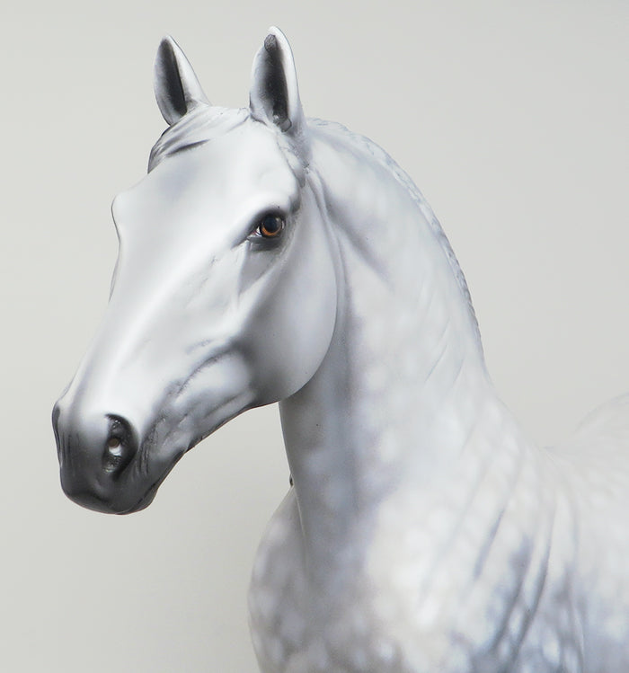 lenny star dapple grey drafter