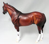 Stock Horse