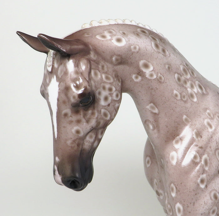 Braided Mane and Tail