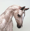 Pony