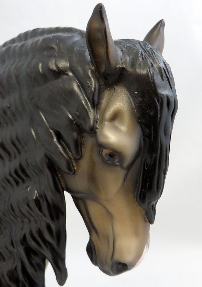 APUESTO-OOAK GRULLA  ANDALUSIAN BY DAWN QUICK 8/29