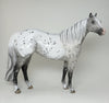 appaloosa