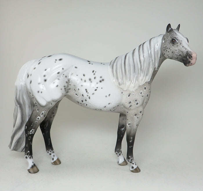 appaloosa