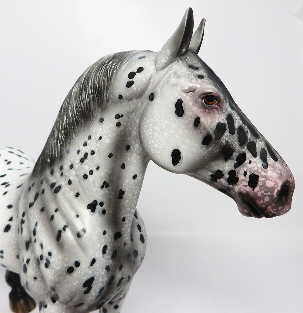 appaloosa