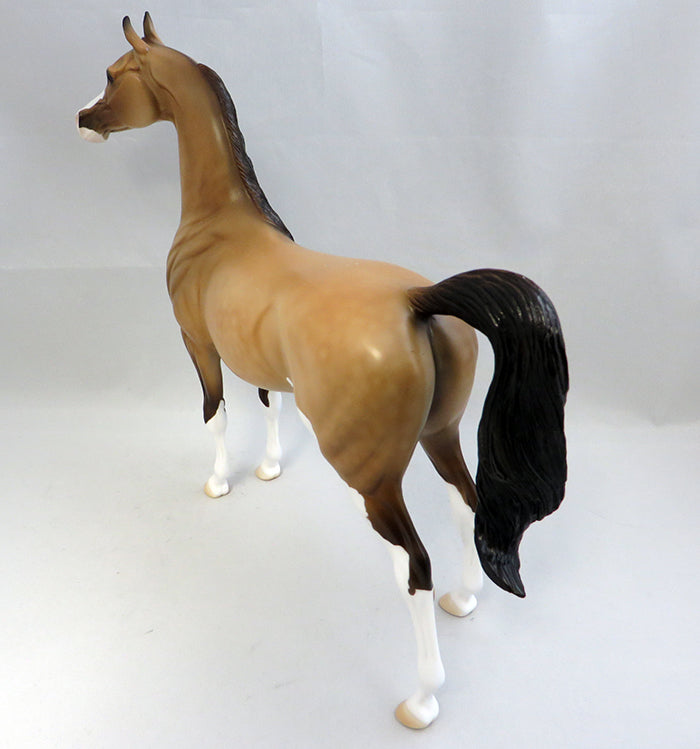 AMBER IN THE MOONLIGHT-OOAK BUCKSKIN ARABIAN STALLION MODEL HORSE 9/26
