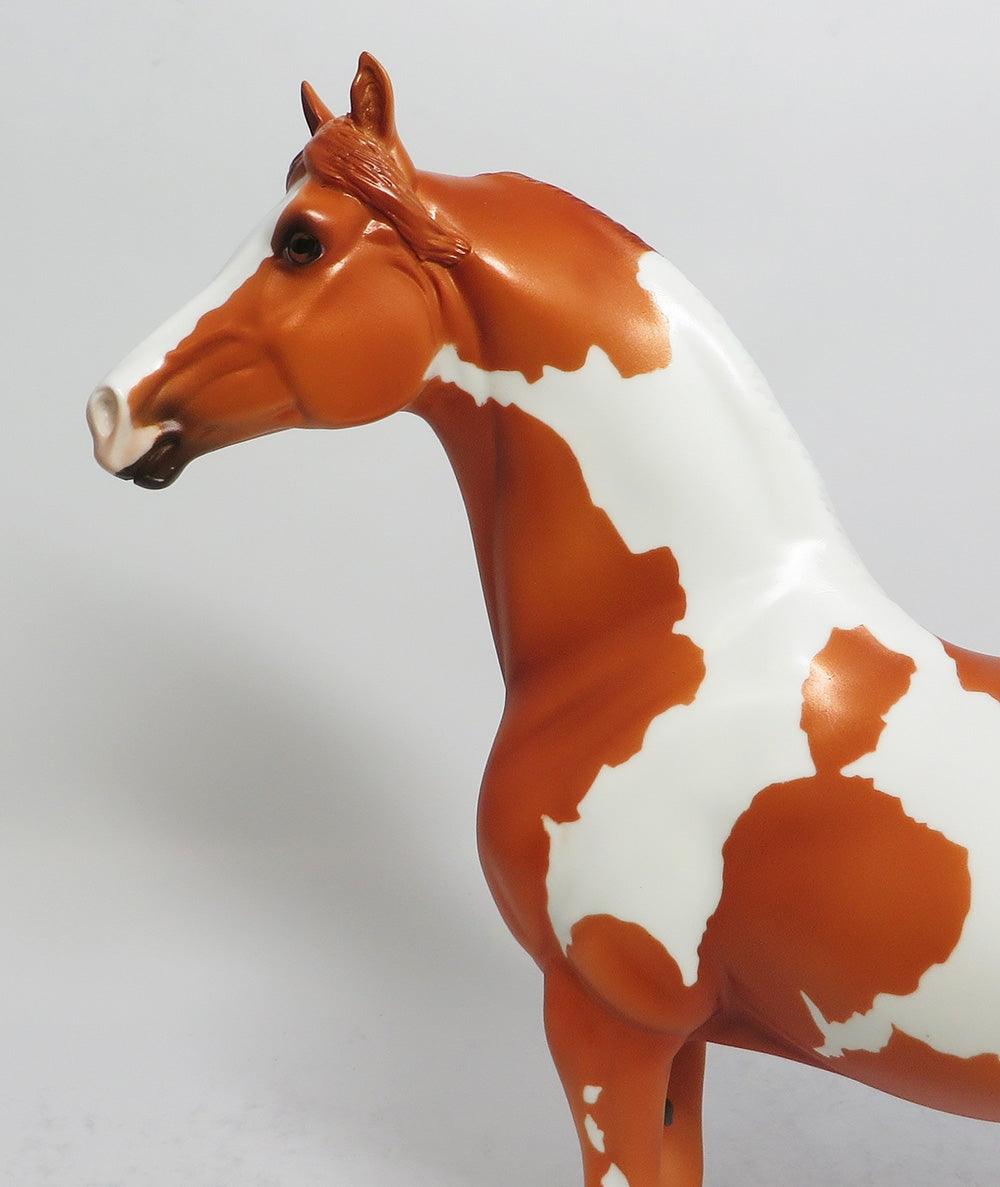 TWIX - LE5 CHESTNUT PINTO MORGAN MODEL HORSE MW2018