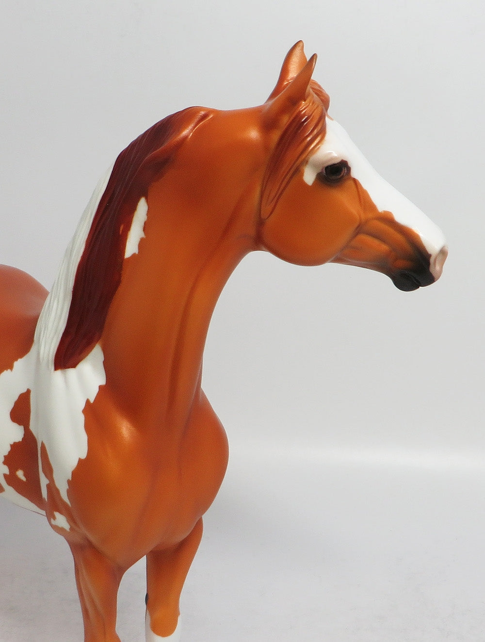 TWIX - LE5 CHESTNUT PINTO MORGAN MODEL HORSE MW2018