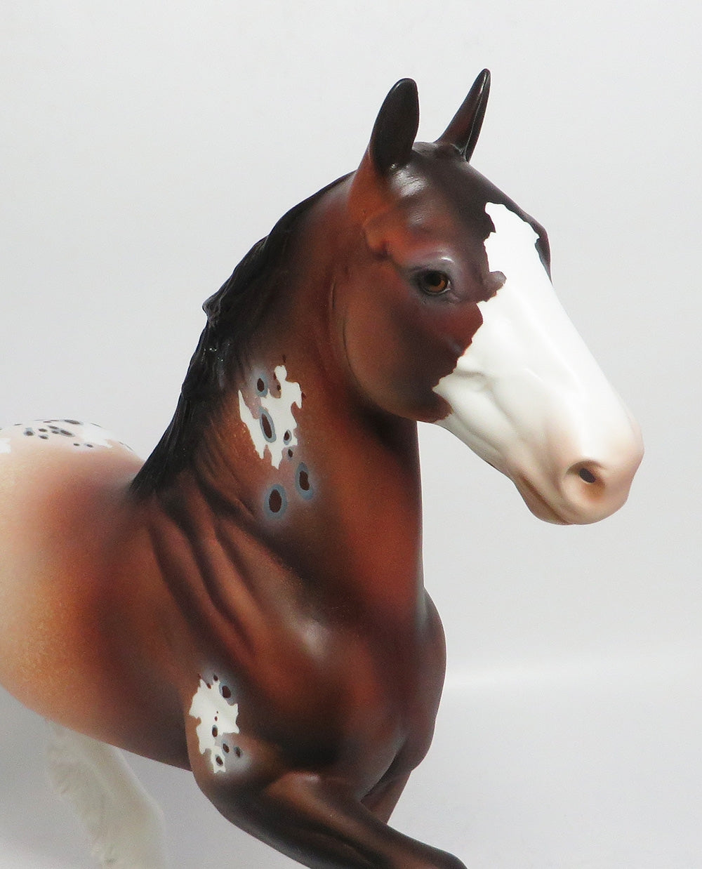 CLASSY CHASSIS-OOAK BAY APPALOOSA TROTTING DRAFTER MODEL HORSE MW HORSE FAIR 2018