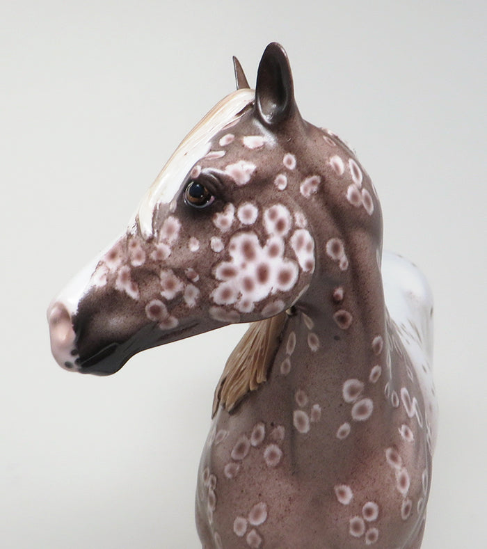 appaloosa chestnut