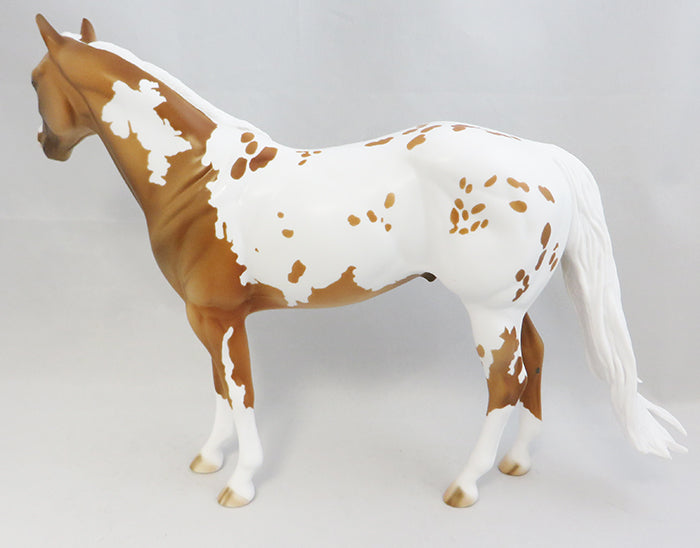 Appaloosa