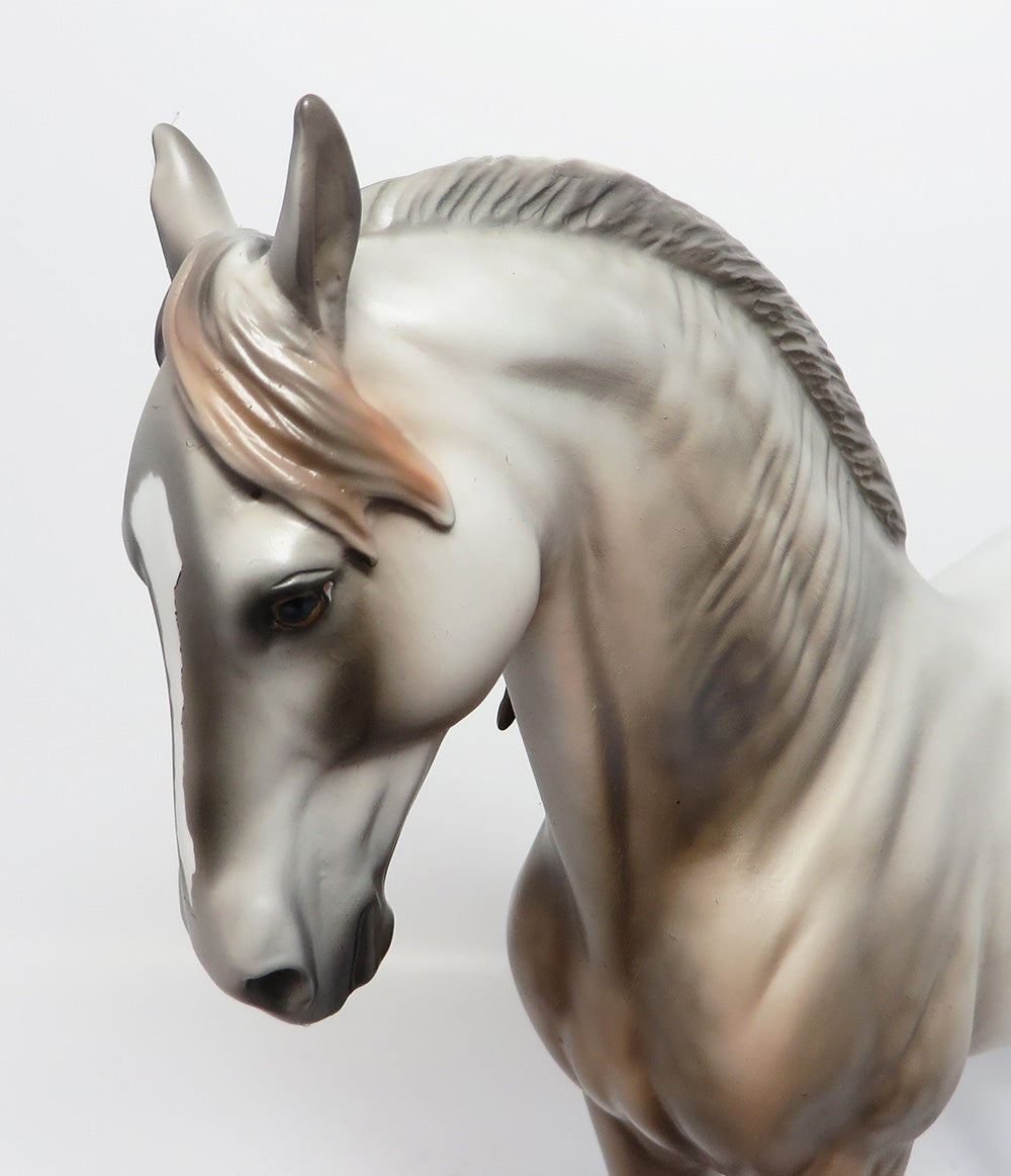 CACTUS~OOAK DAPPLE GREY SPANISH MUSTANG MODEL HORSE 8/18/17