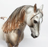 wild mustang