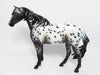 wild mustang