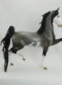 BORN TO DO IT - OOAK Blue Roan Saddlebred Model Horse Pinto - 5/15