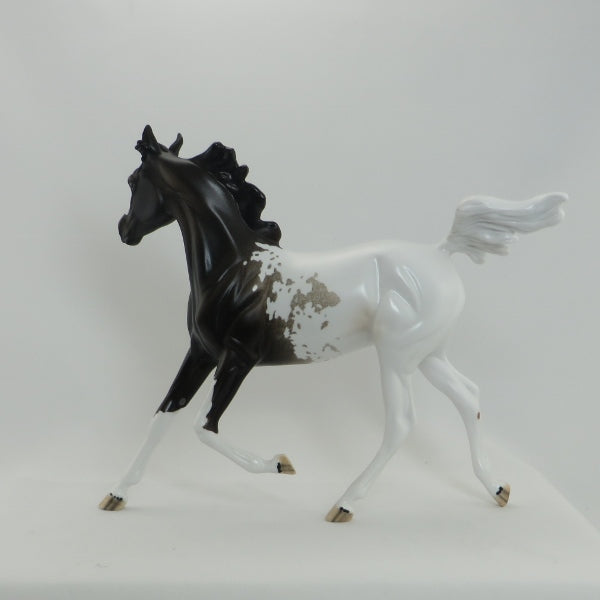 GIDEON - OOAK Appaloosa Model Horse Yearling - 5/15