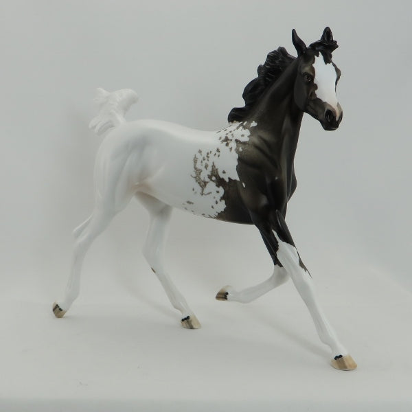 GIDEON - OOAK Appaloosa Model Horse Yearling - 5/15
