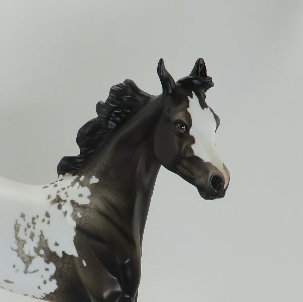 GIDEON - OOAK Appaloosa Model Horse Yearling - 5/15
