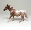 APPALOOSA CHIP PONY