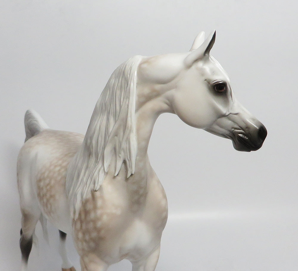 ASTAIRE-OOAK STAR DAPPLE BAY GOING GREY ARABIAN MODEL HORSE BY SHERYL LEISURE 3/23/18