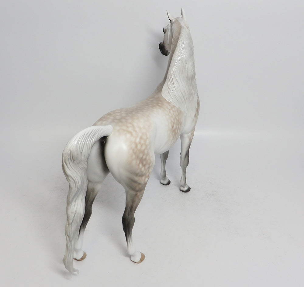 ASTAIRE-OOAK STAR DAPPLE BAY GOING GREY ARABIAN MODEL HORSE BY SHERYL LEISURE 3/23/18