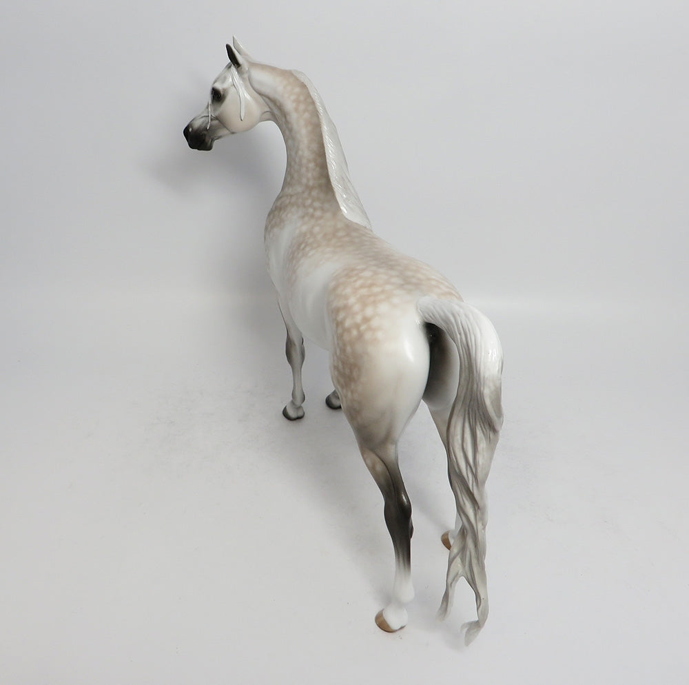 ASTAIRE-OOAK STAR DAPPLE BAY GOING GREY ARABIAN MODEL HORSE BY SHERYL LEISURE 3/23/18