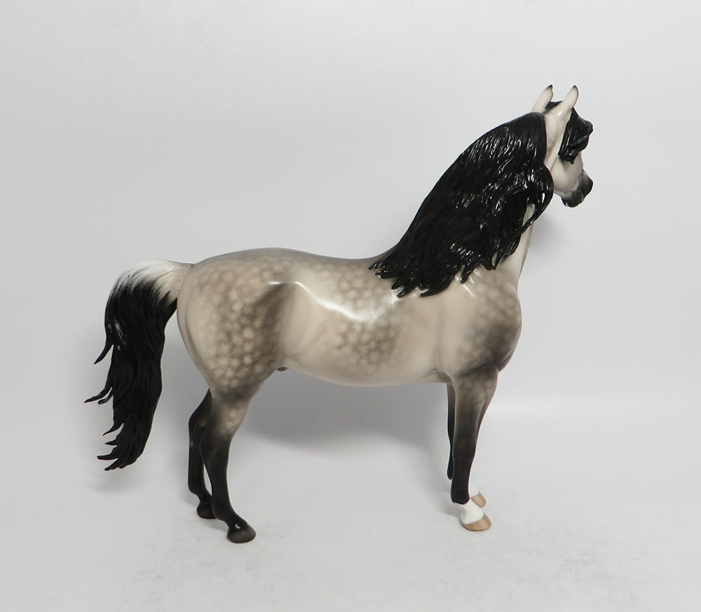 BOGART-OOAK STAR DAPPLE LIGHT BUCKSKIN MORGAN MODEL HORSE BY SHERYL LEISURE 3/27/18