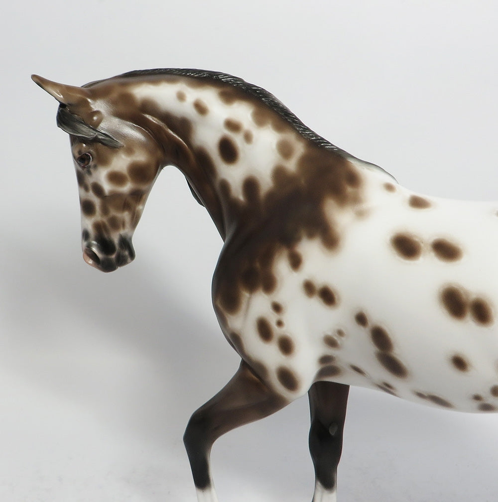 COOPER-OOAK BAY LEOAPRD THOROUGHBRED BY SHERYL LEISURE 3/23/18