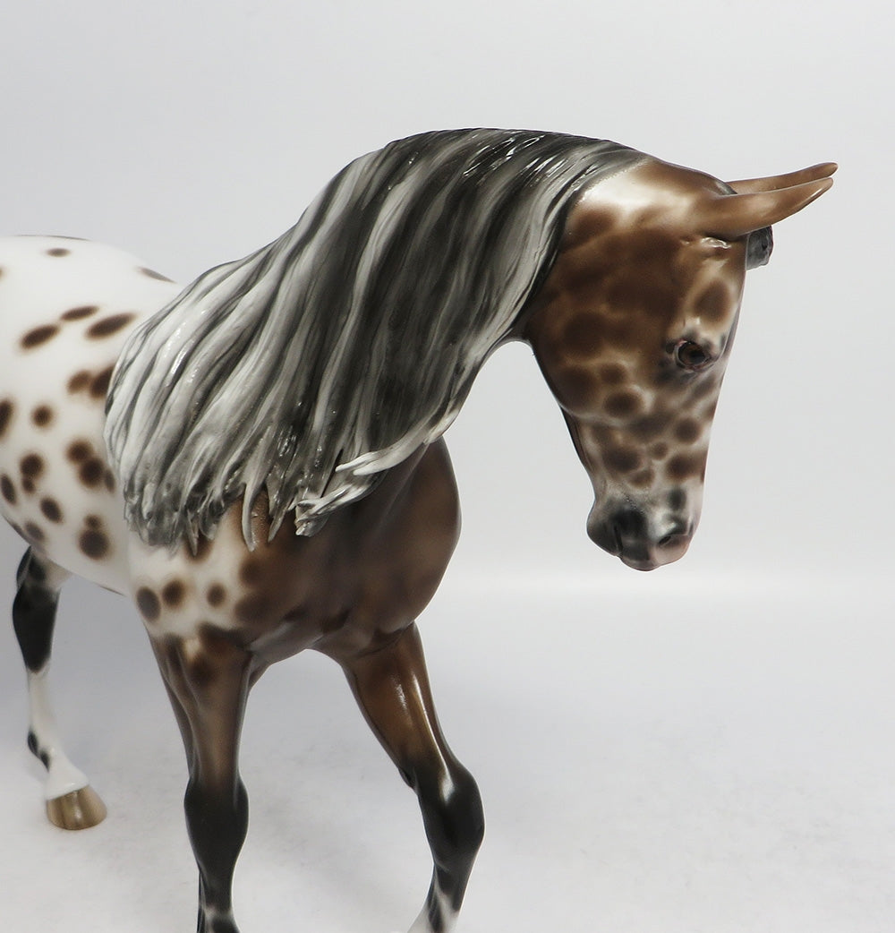 COOPER-OOAK BAY LEOAPRD THOROUGHBRED BY SHERYL LEISURE 3/23/18