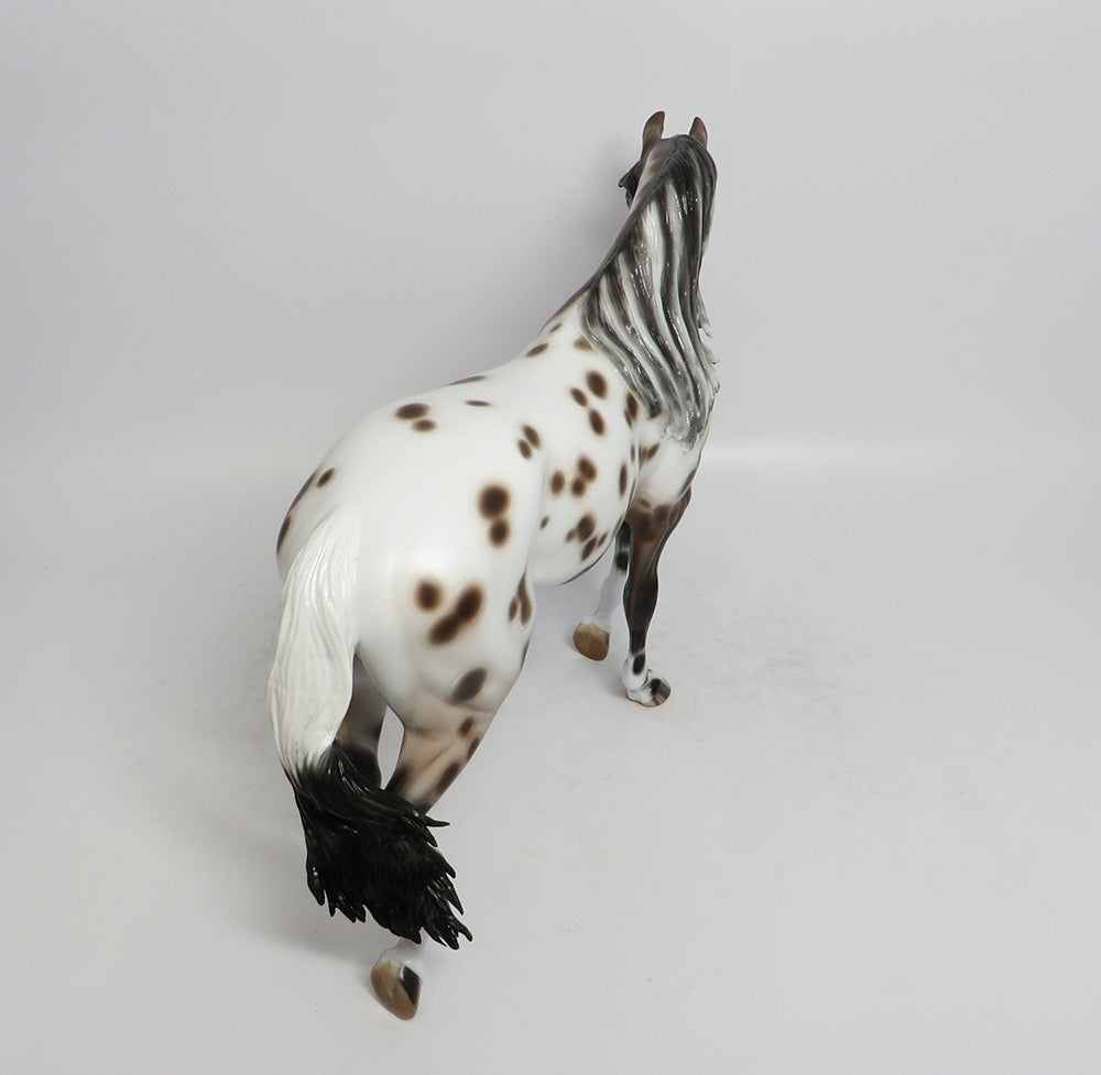 COOPER-OOAK BAY LEOAPRD THOROUGHBRED BY SHERYL LEISURE 3/23/18