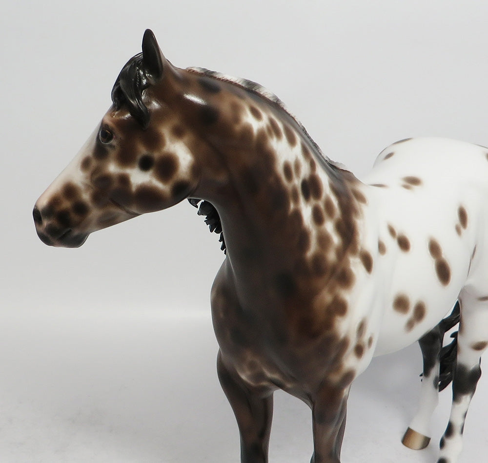 FONDA-OOAK BAY APPALOOSA ISH MODEL HORSE BY SHERYL LEISURE 3/23/18