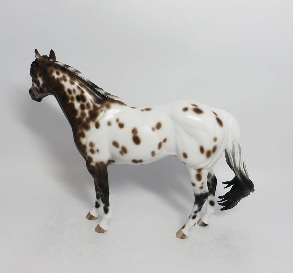 FONDA-OOAK BAY APPALOOSA ISH MODEL HORSE BY SHERYL LEISURE 3/23/18