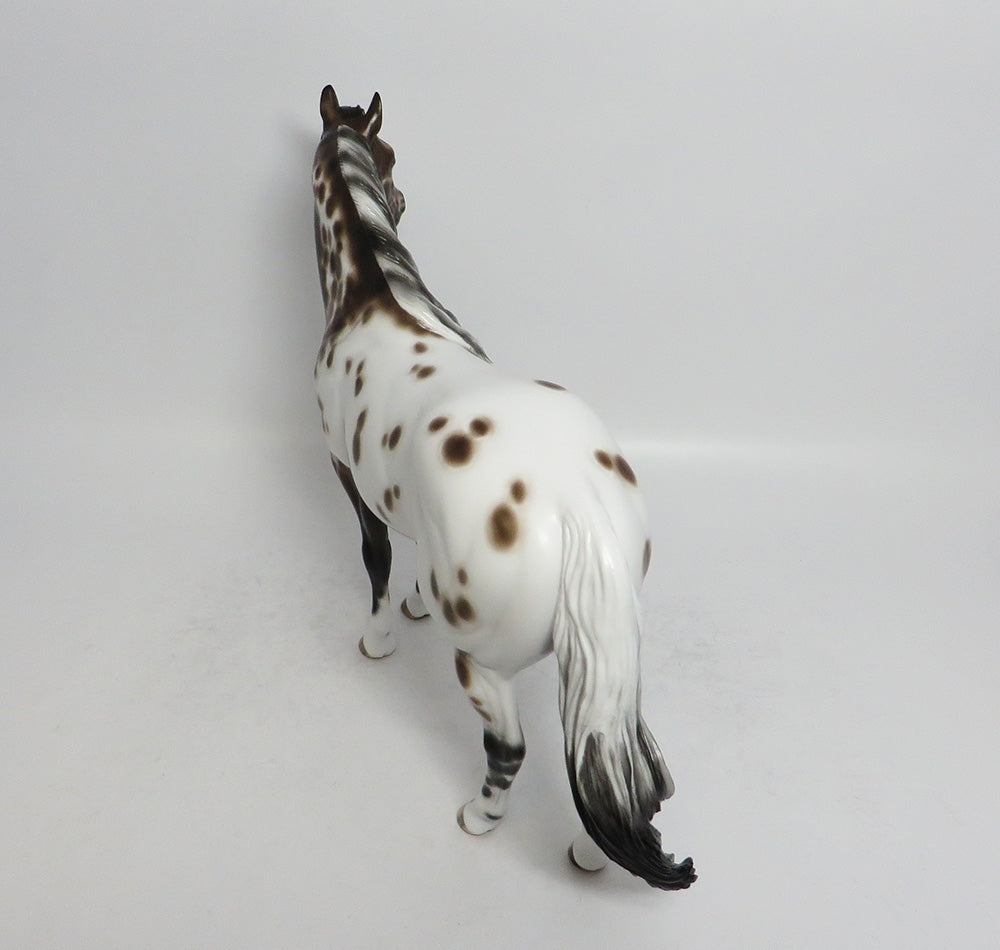 FONDA-OOAK BAY APPALOOSA ISH MODEL HORSE BY SHERYL LEISURE 3/23/18
