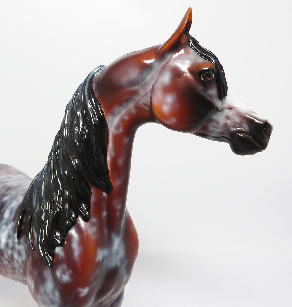 RAREST DIAMOND-OOAK BAY SABINO ARABIAN MODEL HORSE BY DAWN QUICK 8/18/17