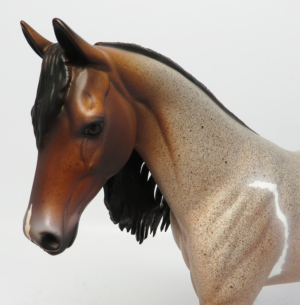 I&#39;MA JEWEL-OOAK RED ROAN PINTO PONY MODEL HORSE BY DAWN QUICK 8/18/17