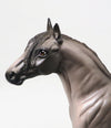 ANDALUSIAN