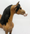 dapple buckskin