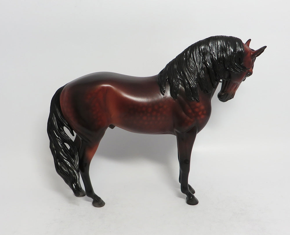 FLYNN-OOAK STAR DAPPLE BAY ANDALUSIAN BY SHERYL LEISURE 3/23/18