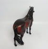 FLYNN-OOAK STAR DAPPLE BAY ANDALUSIAN BY SHERYL LEISURE 3/23/18