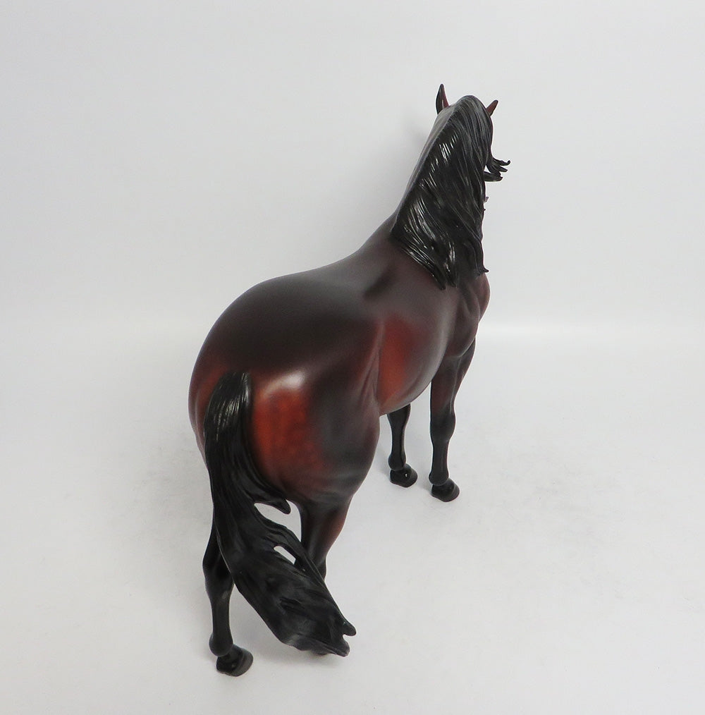 FLYNN-OOAK STAR DAPPLE BAY ANDALUSIAN BY SHERYL LEISURE 3/23/18