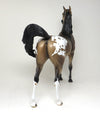 CUSTOM ARABIAN
